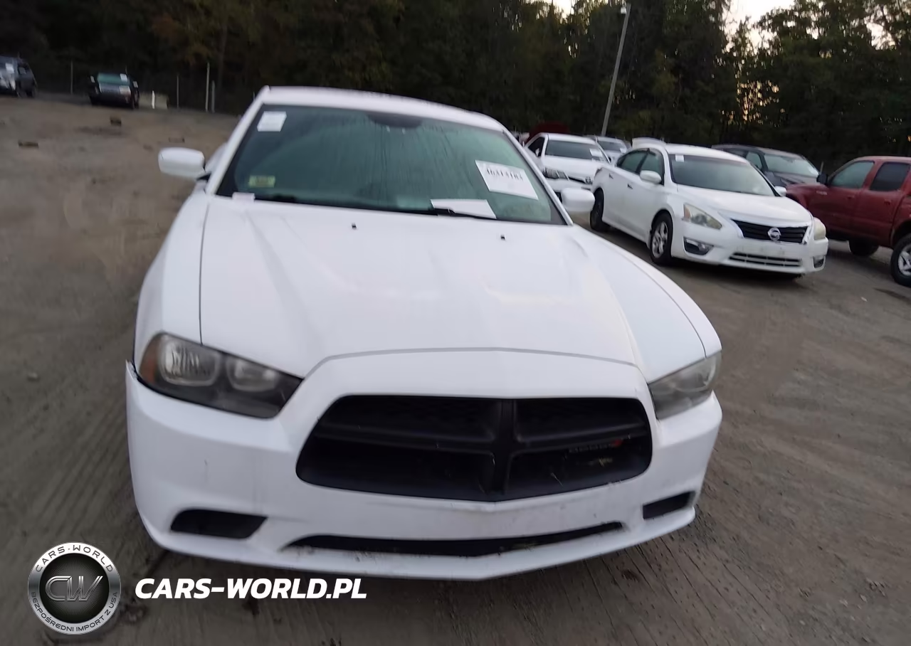 2014 Dodge Charger Police VIN:2C3CDXAT1EH357844 - 11