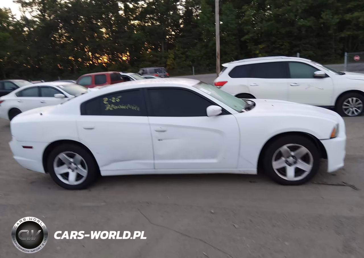 2014 Dodge Charger Police VIN:2C3CDXAT1EH357844 - 12