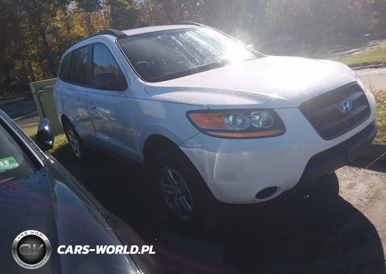 2009 Hyundai Santa Fe Gls