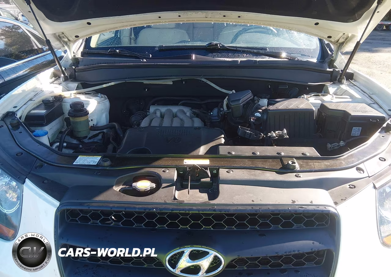 2009 Hyundai Santa Fe Gls VIN:5NMSG13D59H318900 - 10