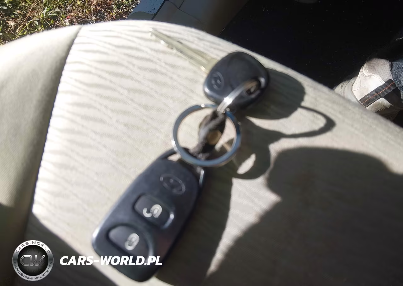 2009 Hyundai Santa Fe Gls VIN:5NMSG13D59H318900 - 11