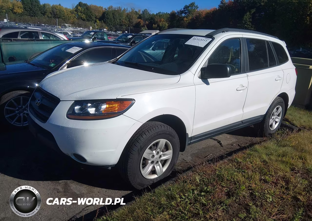 2009 Hyundai Santa Fe Gls VIN:5NMSG13D59H318900 - 2