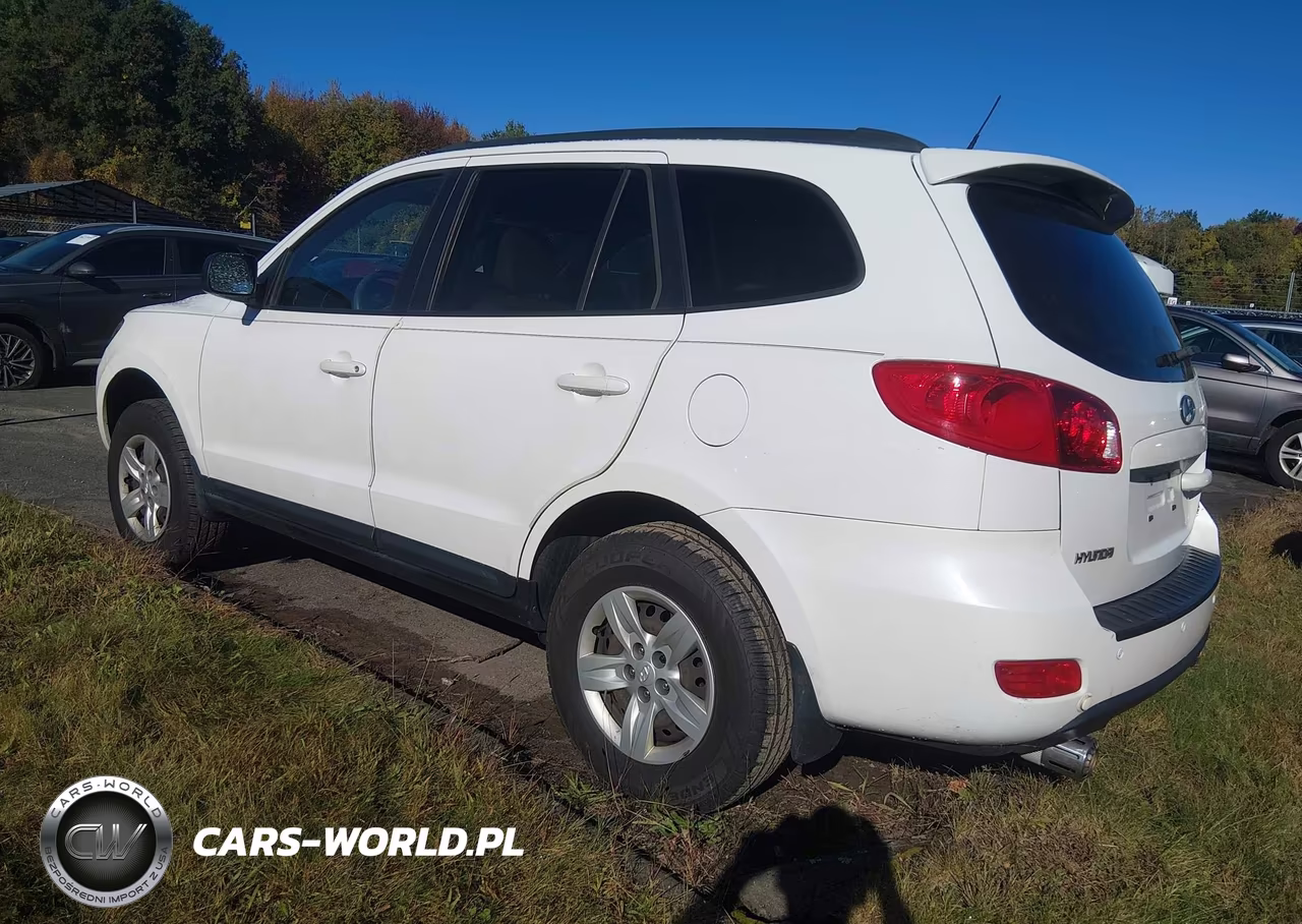 2009 Hyundai Santa Fe Gls VIN:5NMSG13D59H318900 - 3