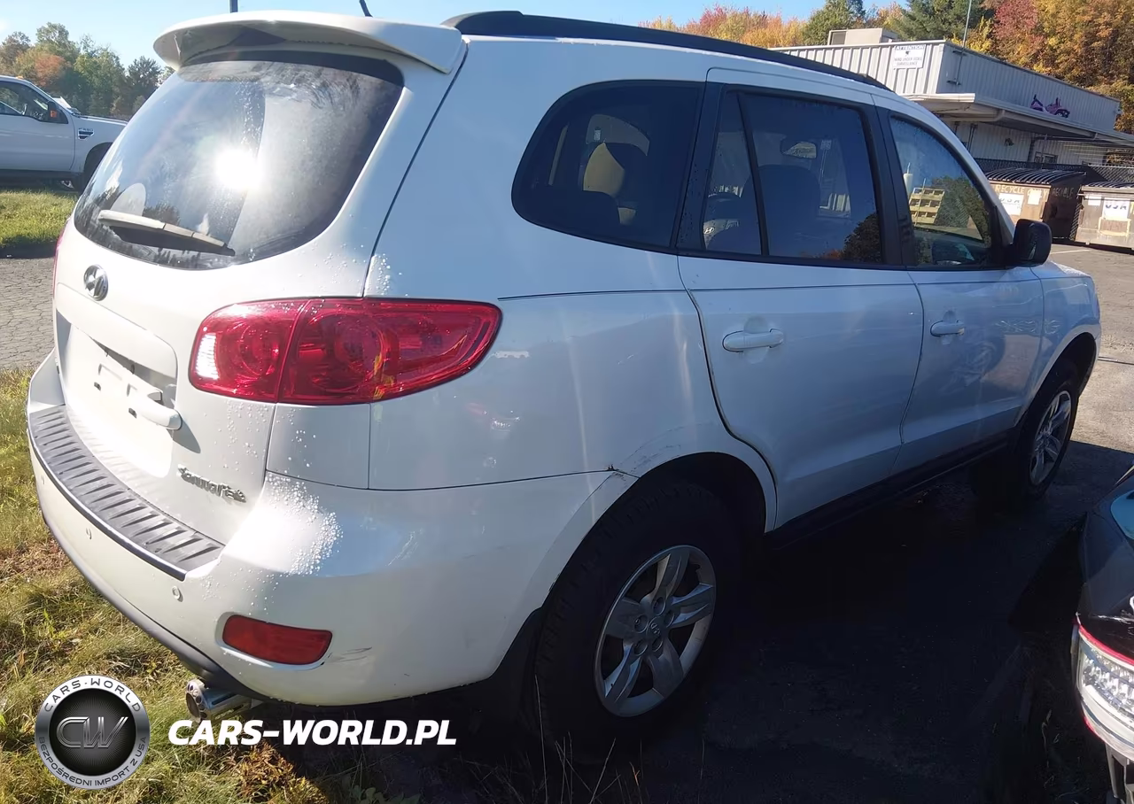 2009 Hyundai Santa Fe Gls VIN:5NMSG13D59H318900 - 4
