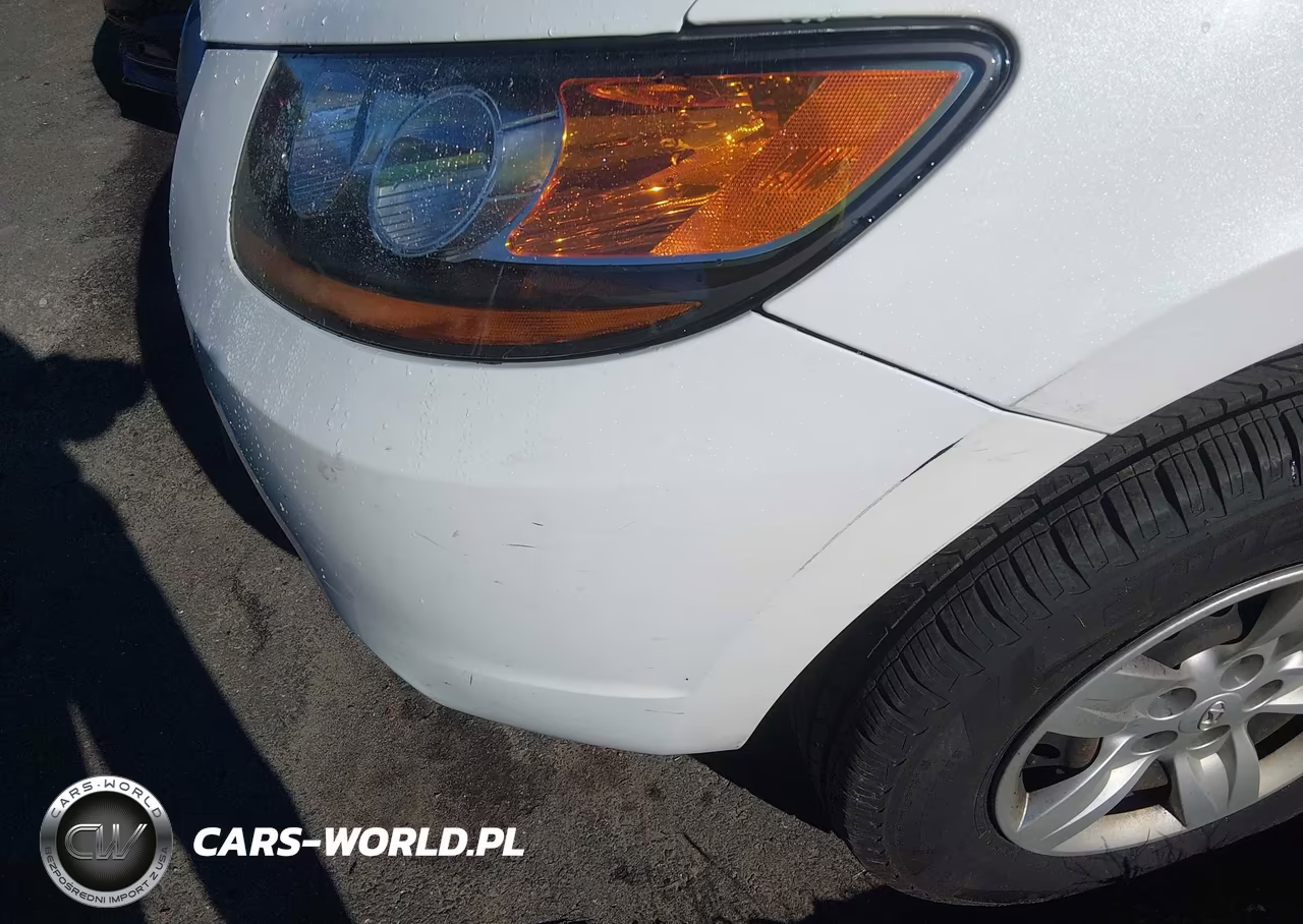 2009 Hyundai Santa Fe Gls VIN:5NMSG13D59H318900 - 6