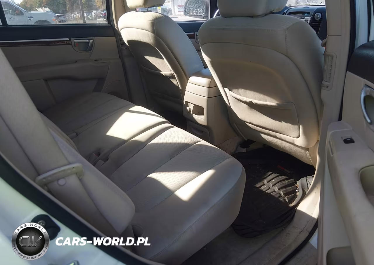 2009 Hyundai Santa Fe Gls VIN:5NMSG13D59H318900 - 8
