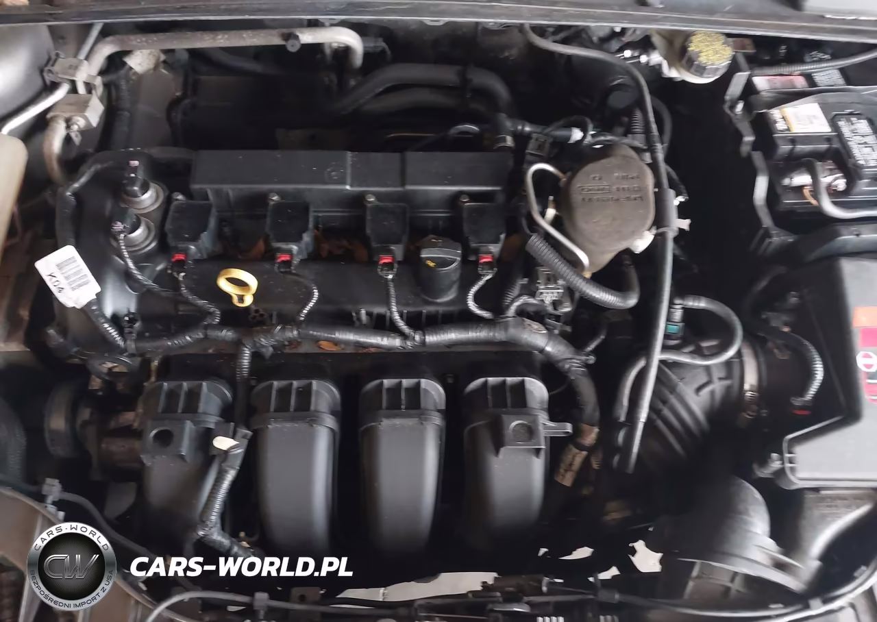 2014 Ford Focus Se VIN:1FADP3F24EL462600 - 10