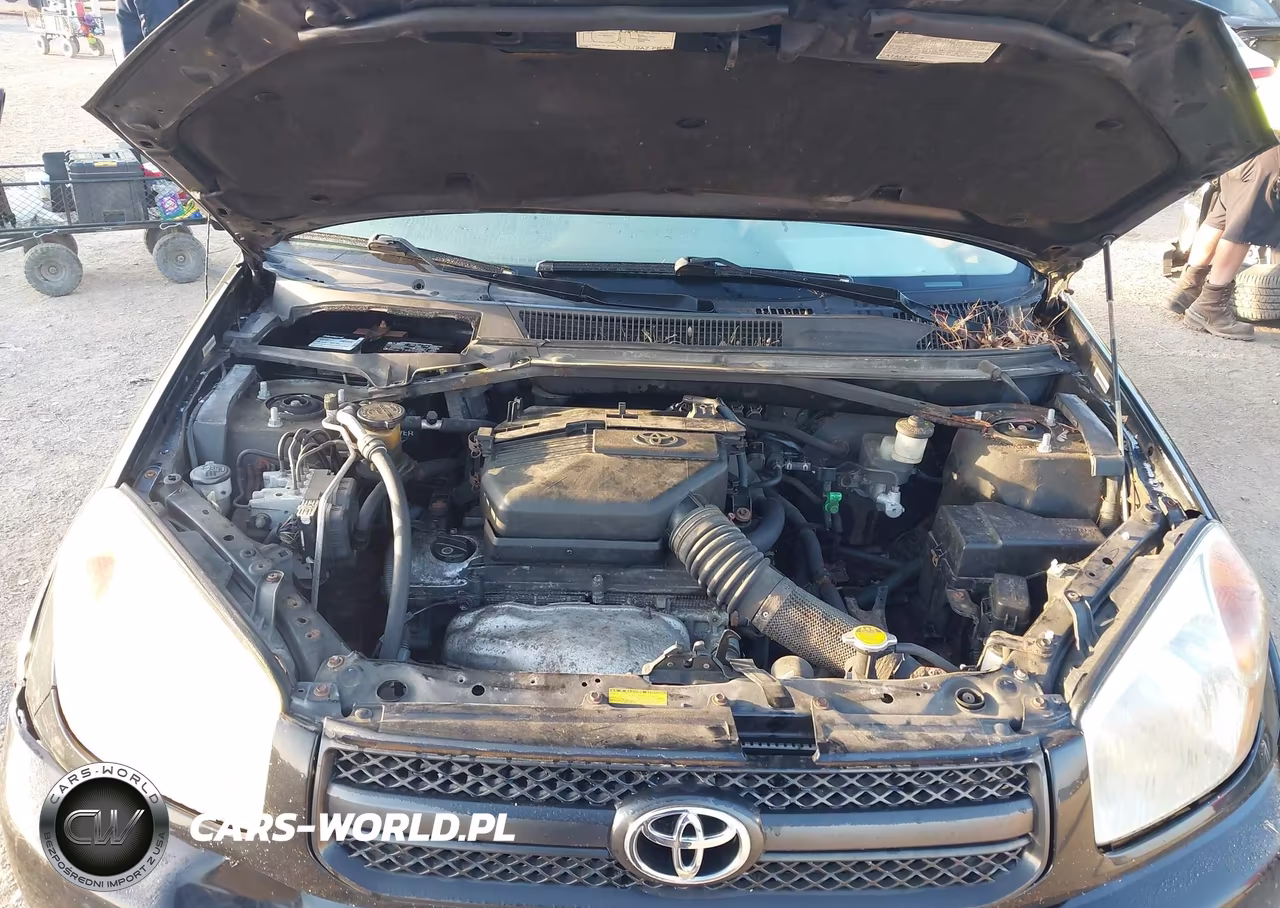 2004 Toyota Rav4 VIN:JTEHD20V146002305 - 10