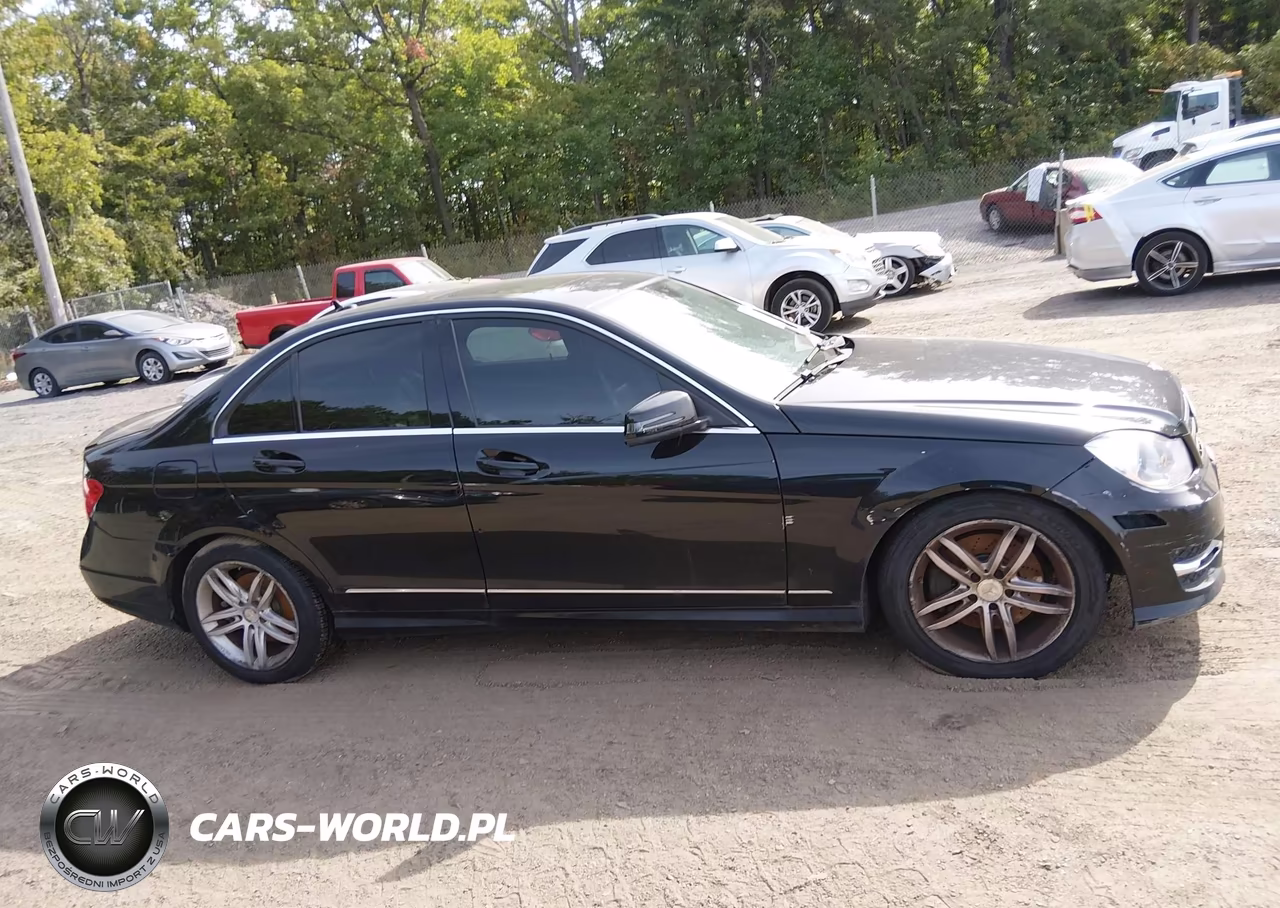 2014 Mercedes-Benz C 300 Sport 4Matic VIN:WDDGF8AB1EA893122 - 12