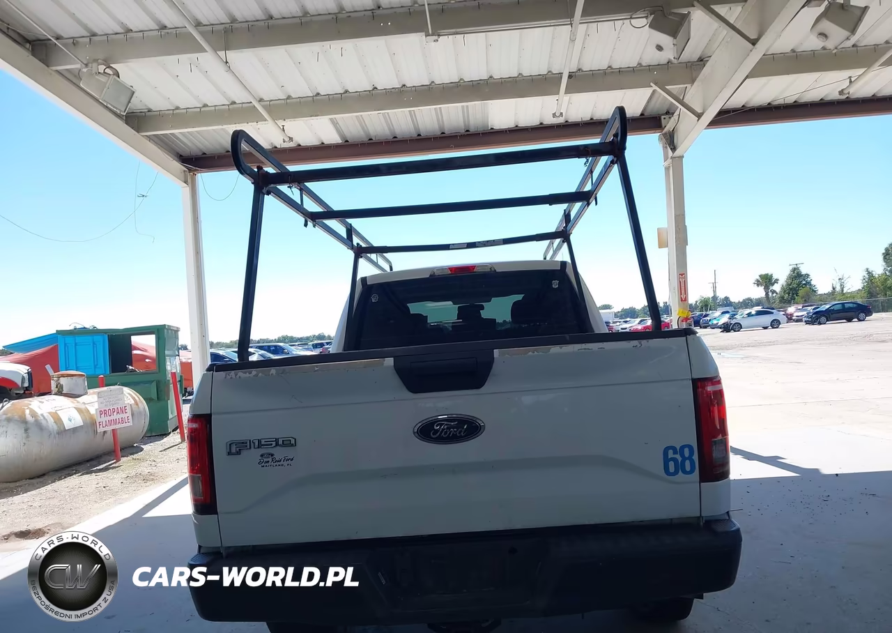 2015 Ford F-150 Xl VIN:1FTEX1CP9FKF12935 - 16