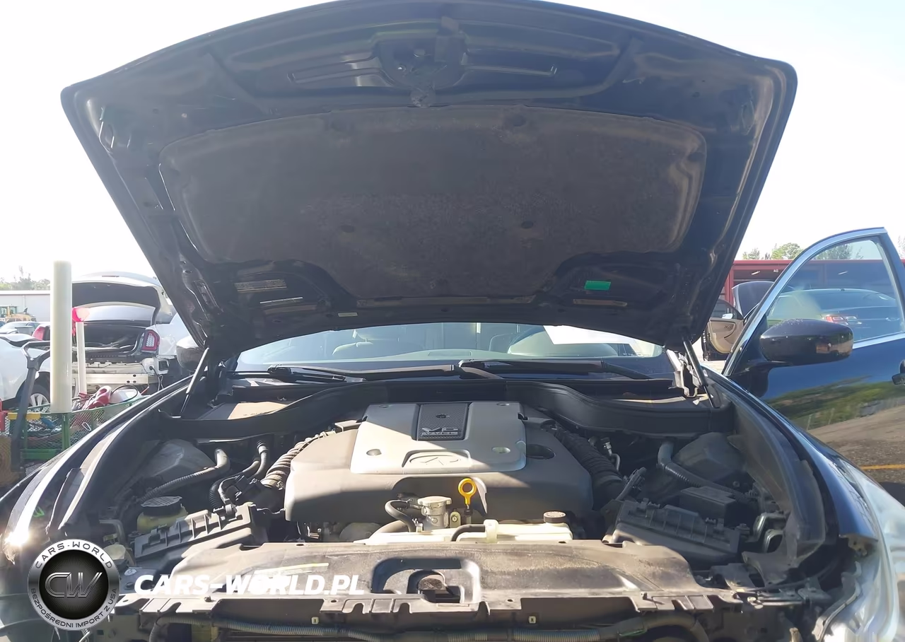 2011 Infiniti G37 Journey VIN:JN1CV6APXBM509041 - 10