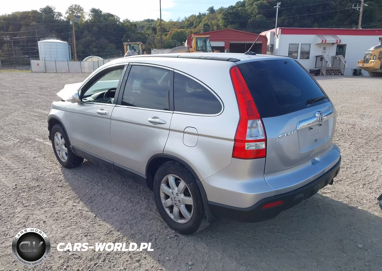 2009 Honda Cr-V Ex-L VIN:5J6RE487X9L068409 - 3