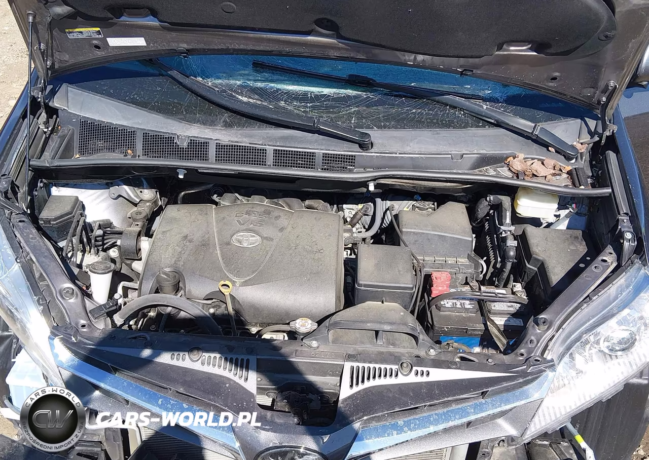 2020 Toyota Sienna Xle VIN:5TDDZ3DC5LS250784 - 10