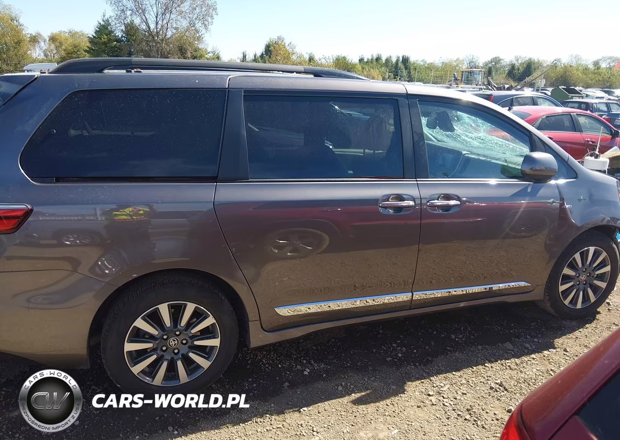 2020 Toyota Sienna Xle VIN:5TDDZ3DC5LS250784 - 14