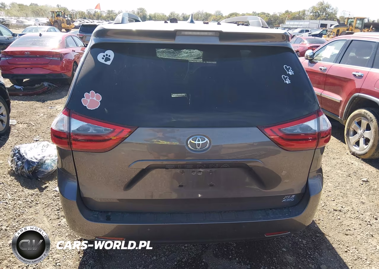 2020 Toyota Sienna Xle VIN:5TDDZ3DC5LS250784 - 17