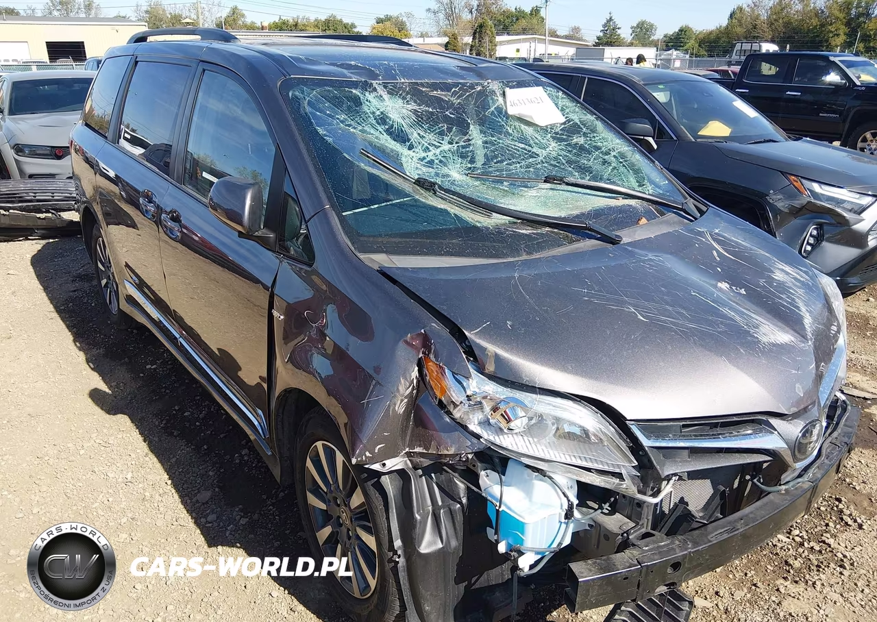 2020 Toyota Sienna Xle VIN:5TDDZ3DC5LS250784 - 18