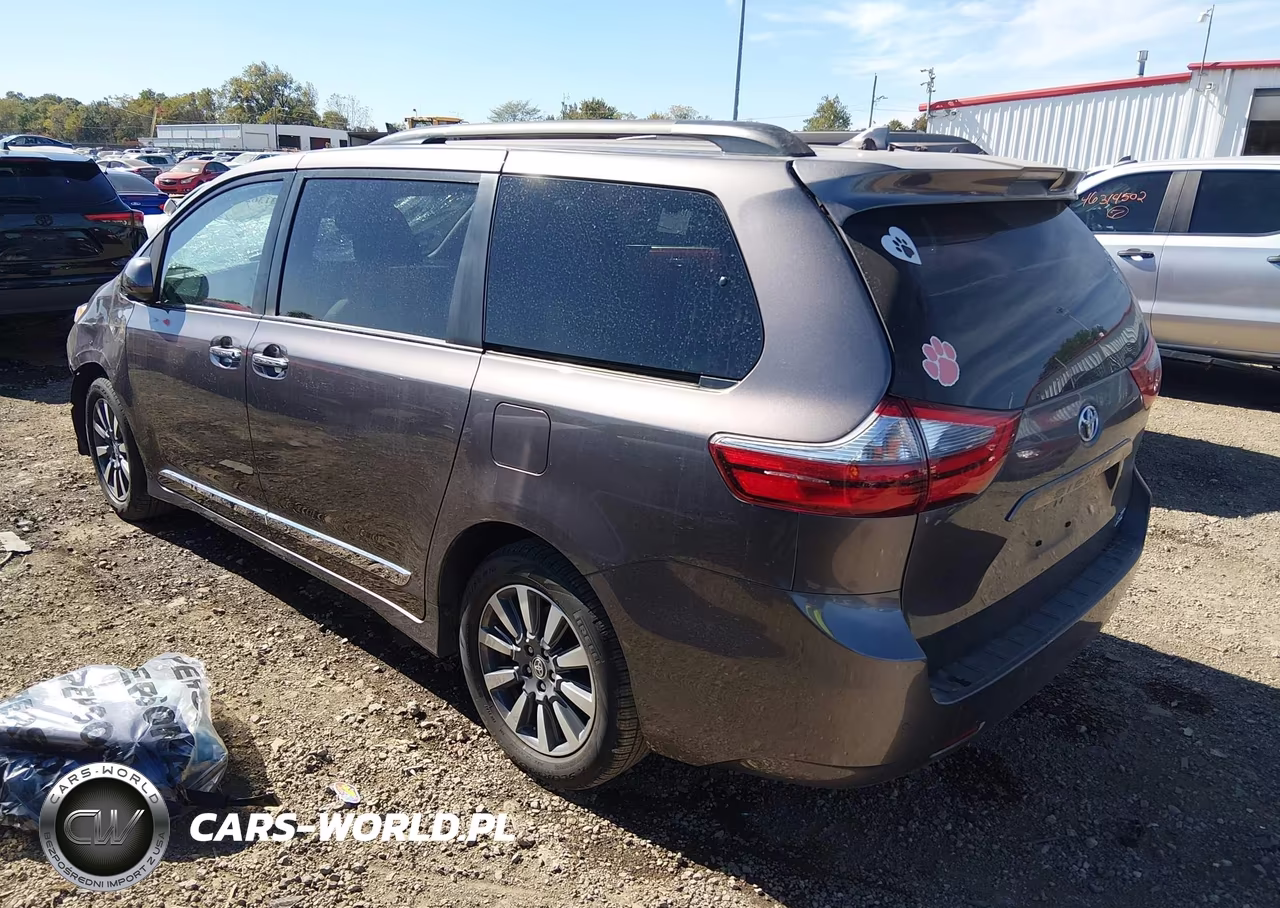 2020 Toyota Sienna Xle VIN:5TDDZ3DC5LS250784 - 3