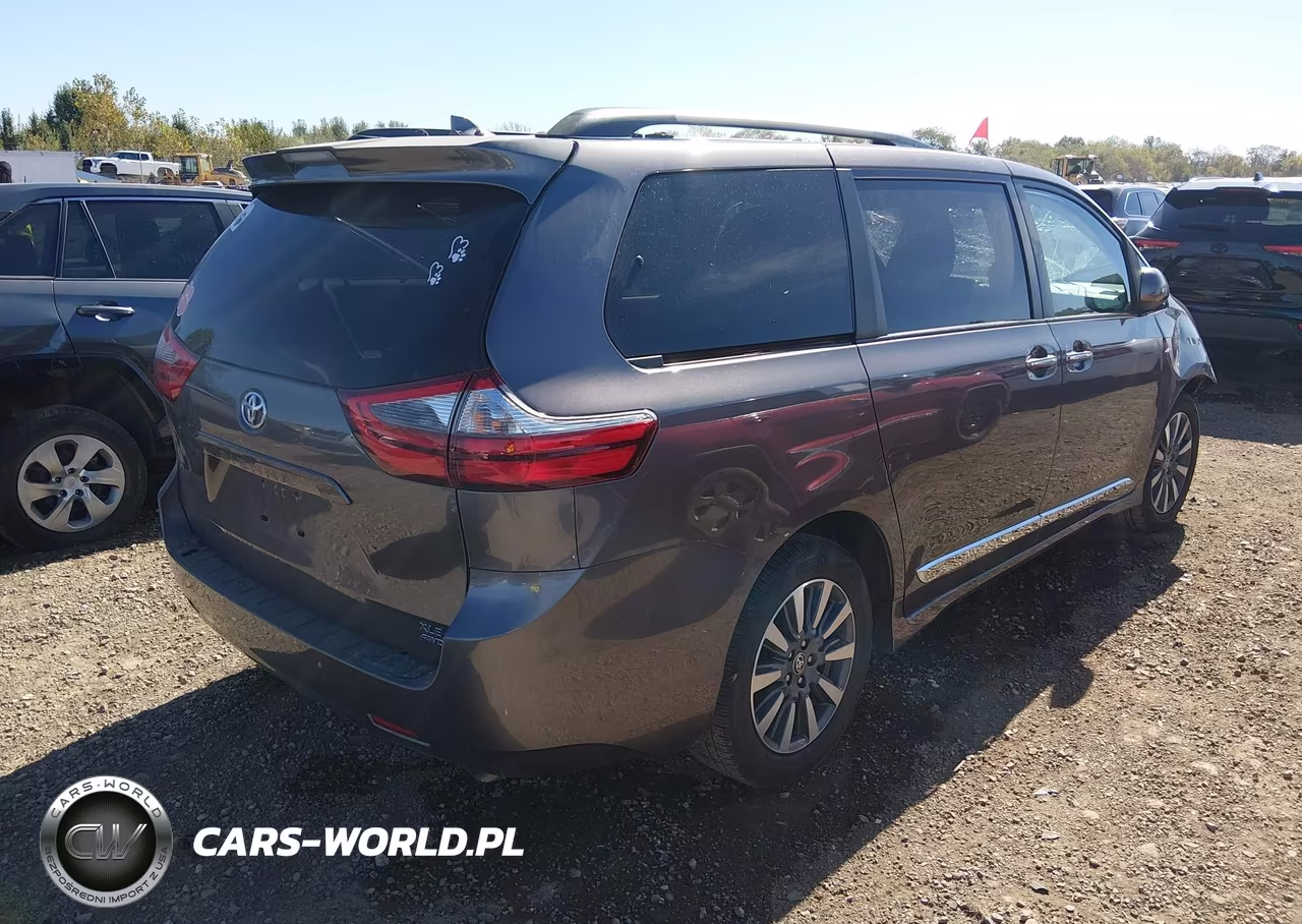 2020 Toyota Sienna Xle VIN:5TDDZ3DC5LS250784 - 4