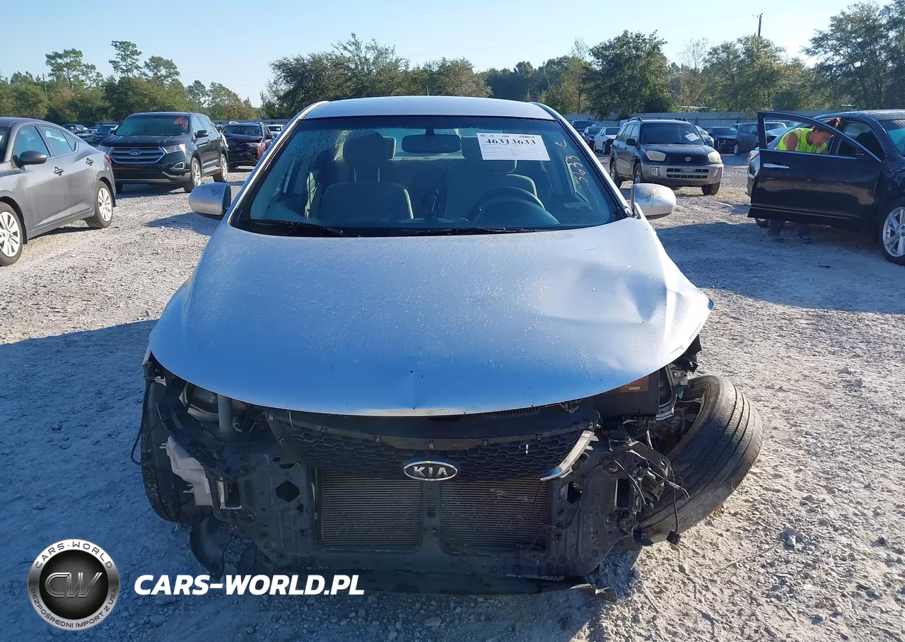 2012 Kia Forte Lx VIN:KNAFT4A29C5467382 - 12