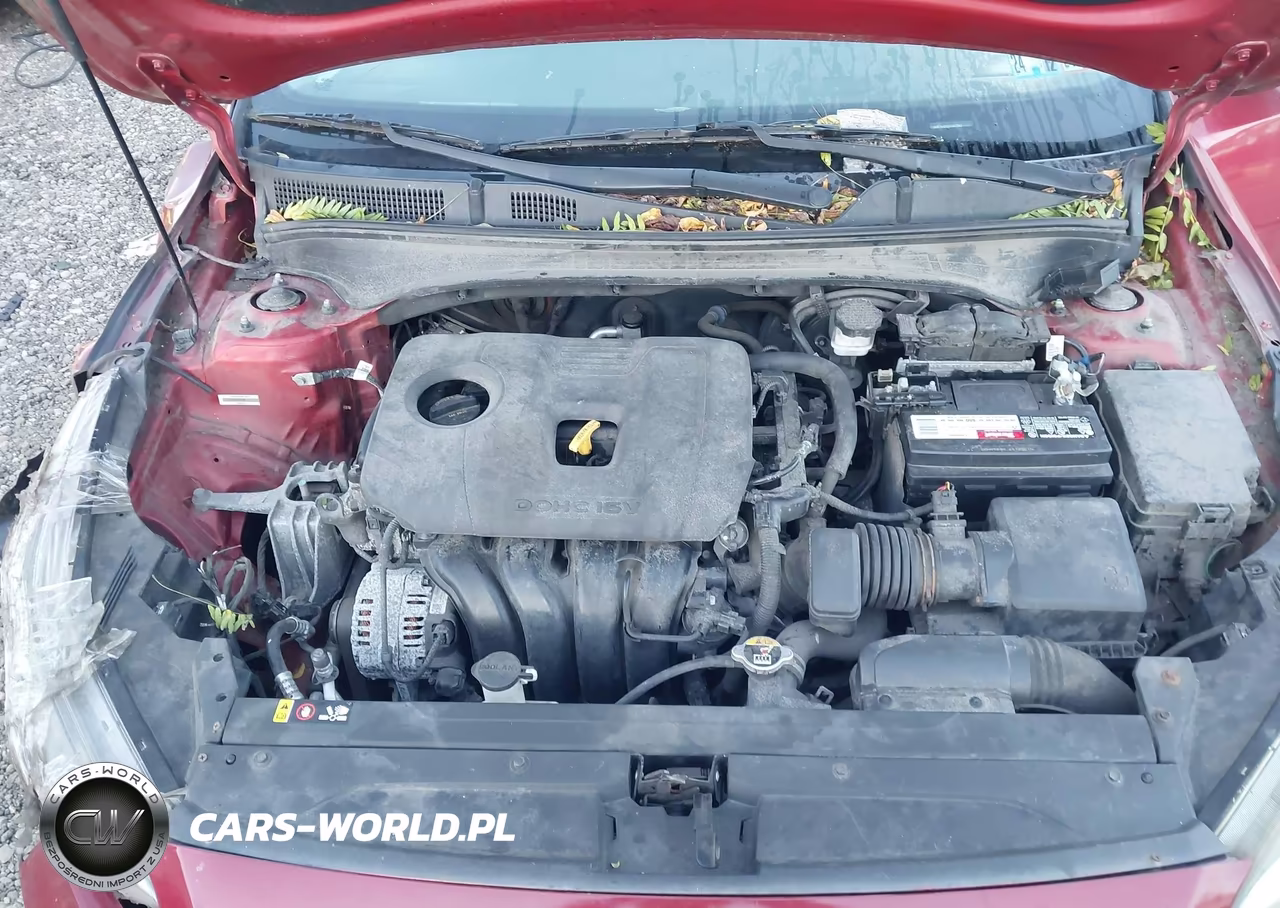 2019 Kia Forte Lxs VIN:3KPF24ADXKE060343 - 10