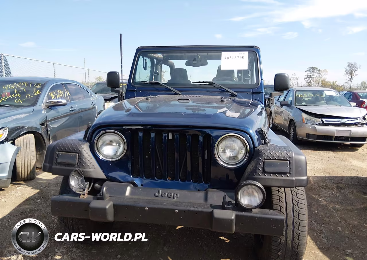 2004 Jeep Wrangler Unlimited VIN:1J4FA49S24P764054 - 12