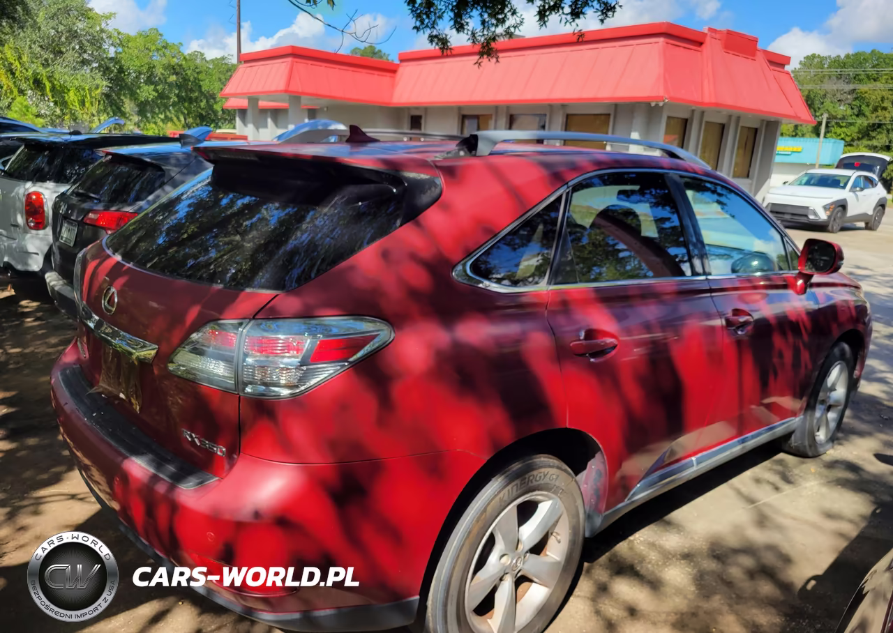 2010 Lexus Rx 350 VIN:JTJZK1BA4A2000518 - 4