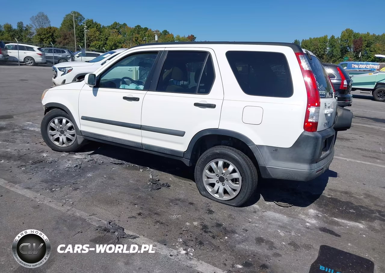 2006 Honda Cr-V Ex VIN:SHSRD78836U426315 - 3