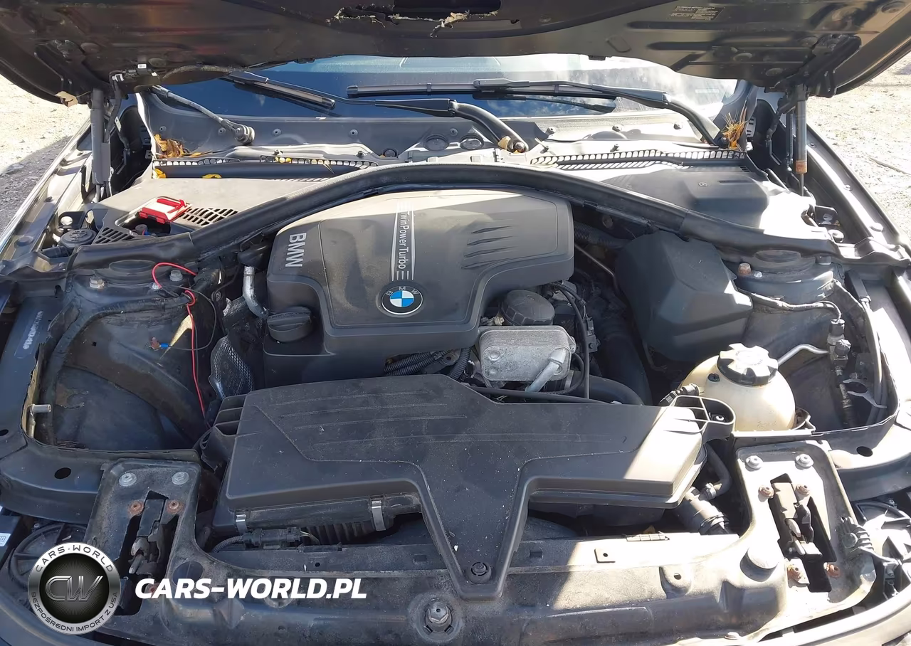 2014 BMW 428I xDrive VIN:WBA3N9C54EK244835 - 10