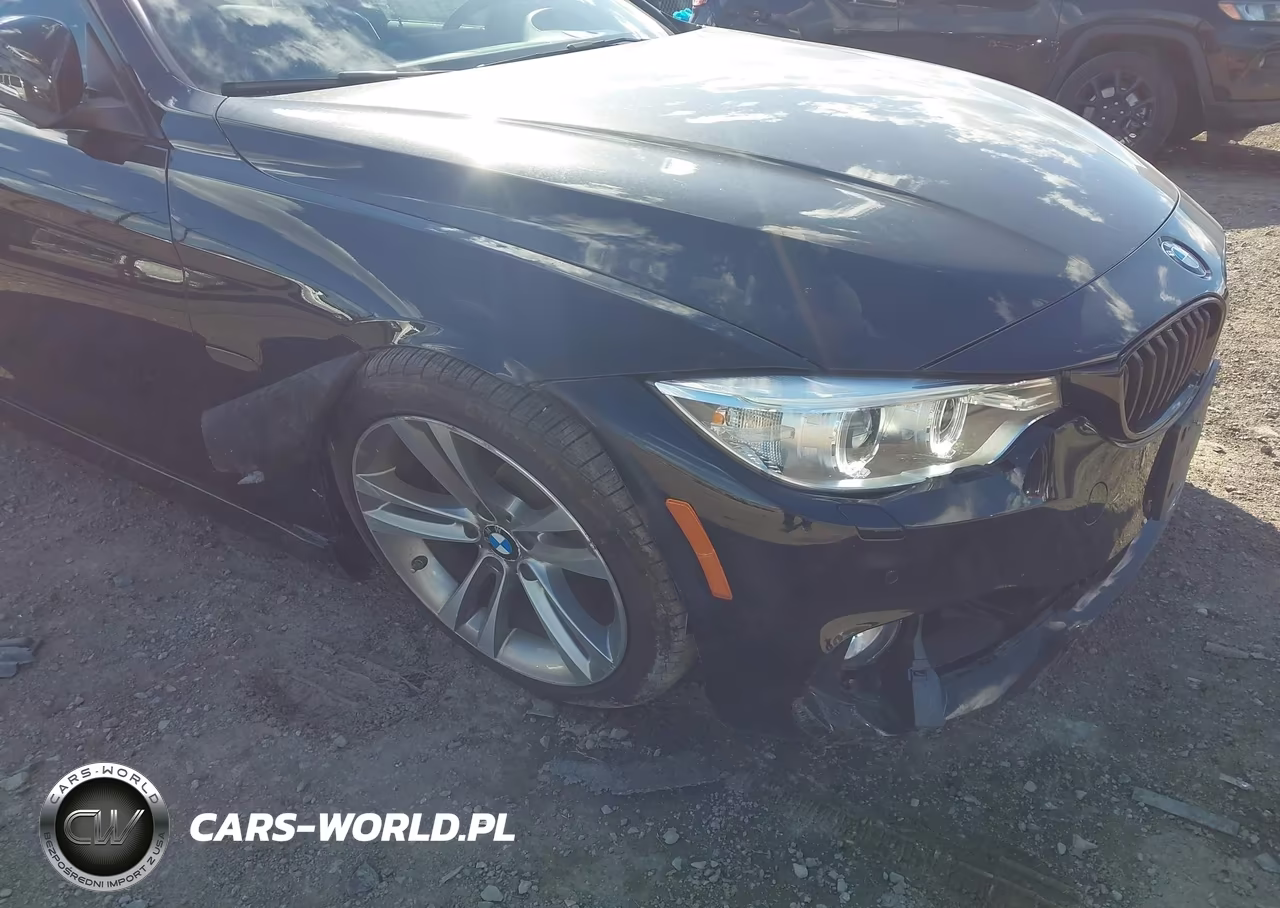 2014 BMW 428I xDrive VIN:WBA3N9C54EK244835 - 6