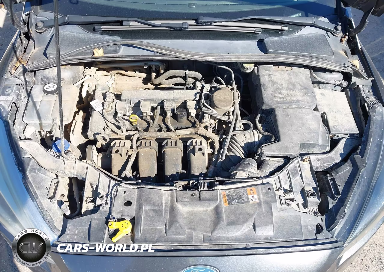 2015 Ford Focus Se VIN:1FADP3F20FL325543 - 10