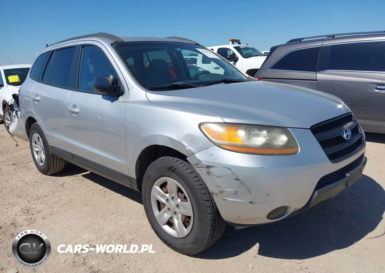 2009 Hyundai Santa Fe Gls VIN:5NMSG13D29H241029 - 1