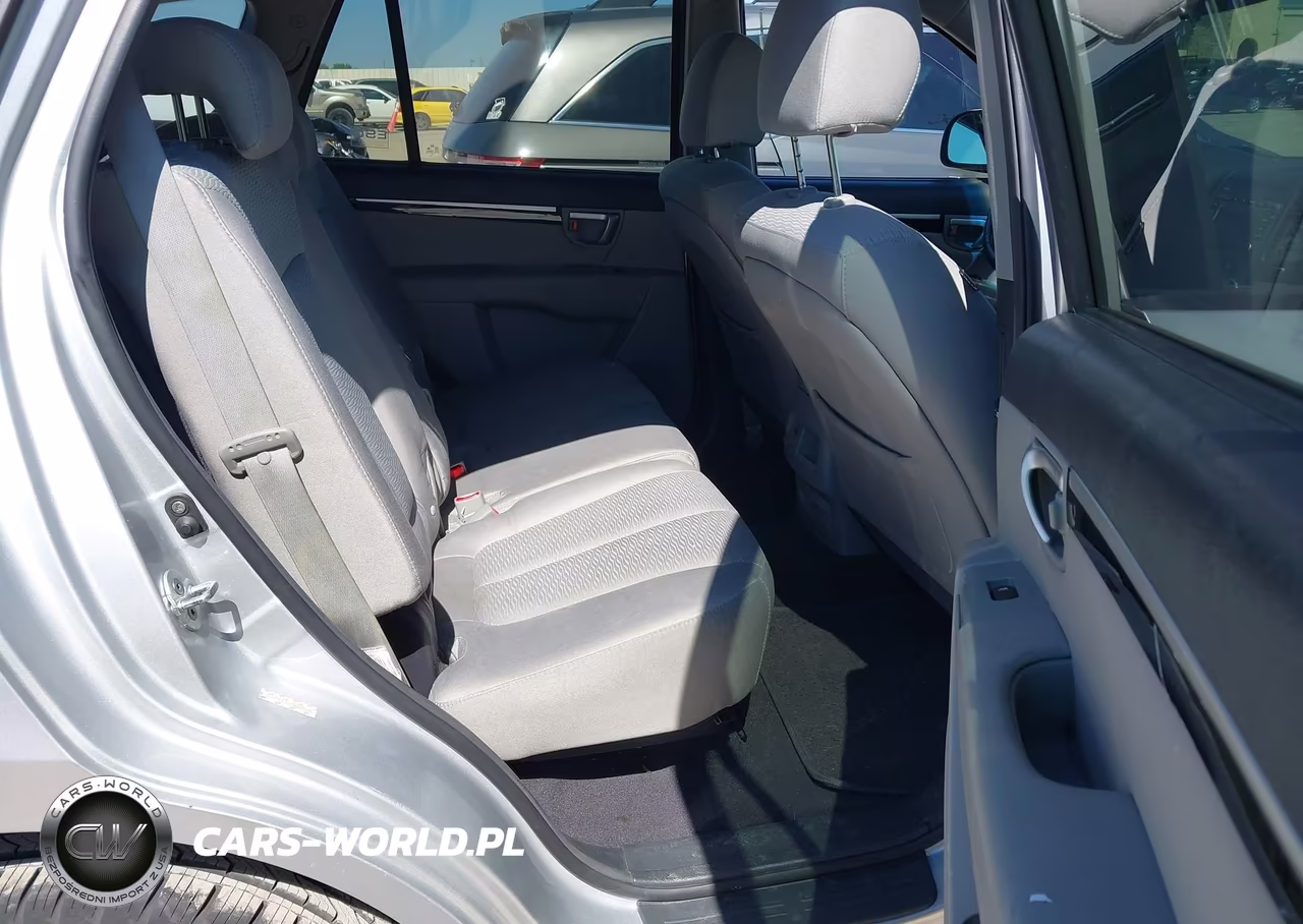 2009 Hyundai Santa Fe Gls VIN:5NMSG13D29H241029 - 8