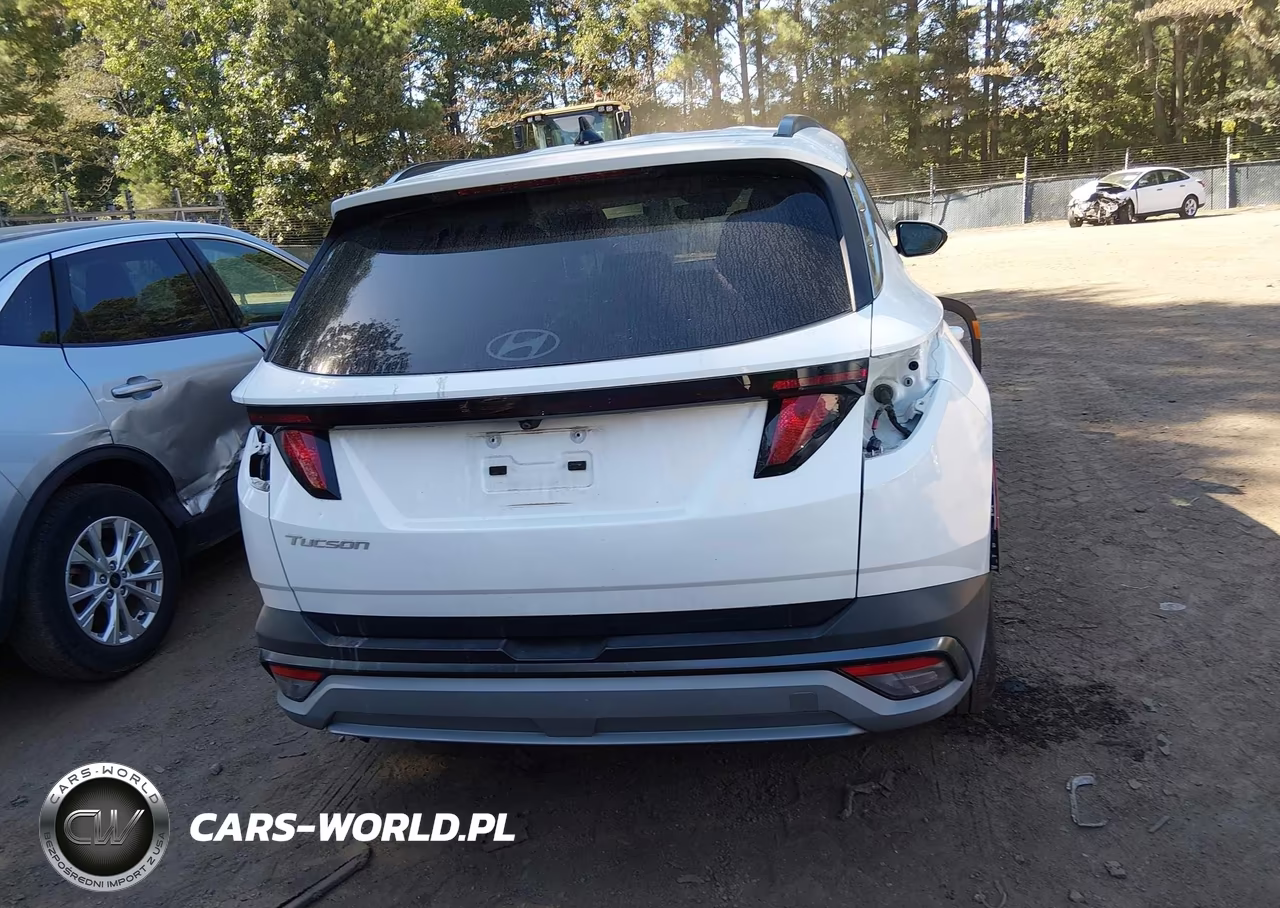 2025 Hyundai Tucson Sel VIN:3KMJB3DE3SE023513 - 16