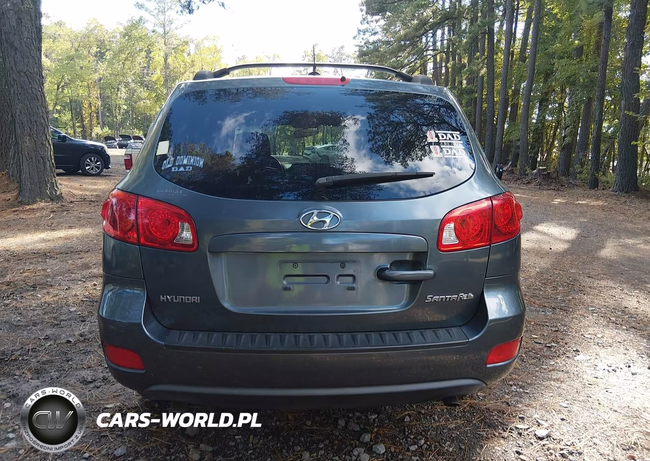 2009 Hyundai Santa Fe Gls VIN:5NMSG13D69H292890 - 16
