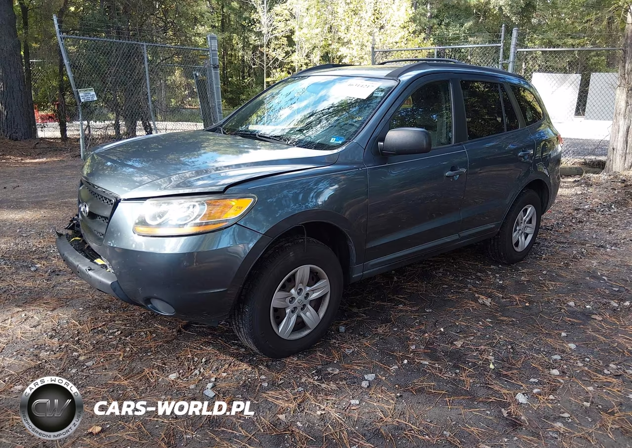 2009 Hyundai Santa Fe Gls VIN:5NMSG13D69H292890 - 2
