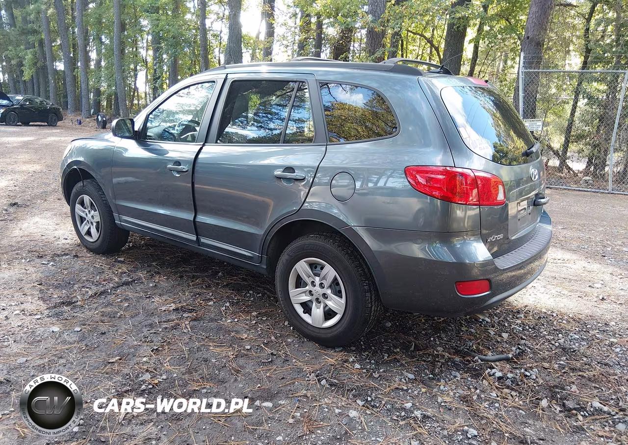 2009 Hyundai Santa Fe Gls VIN:5NMSG13D69H292890 - 3