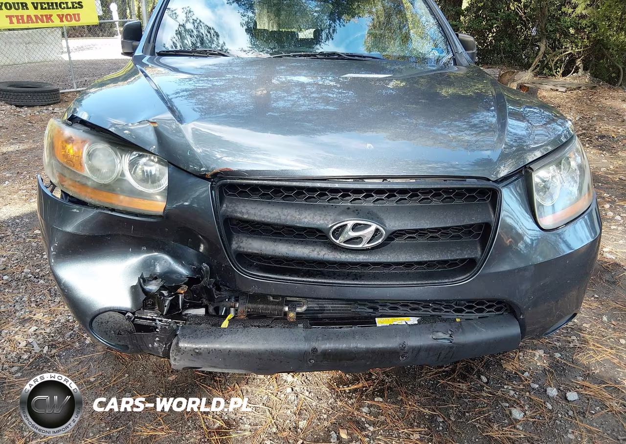 2009 Hyundai Santa Fe Gls VIN:5NMSG13D69H292890 - 6