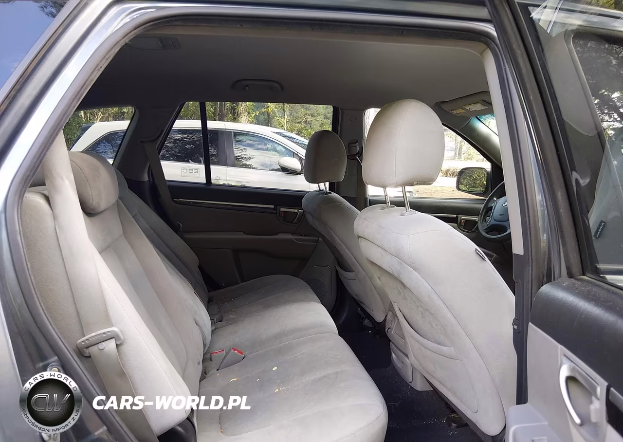 2009 Hyundai Santa Fe Gls VIN:5NMSG13D69H292890 - 8