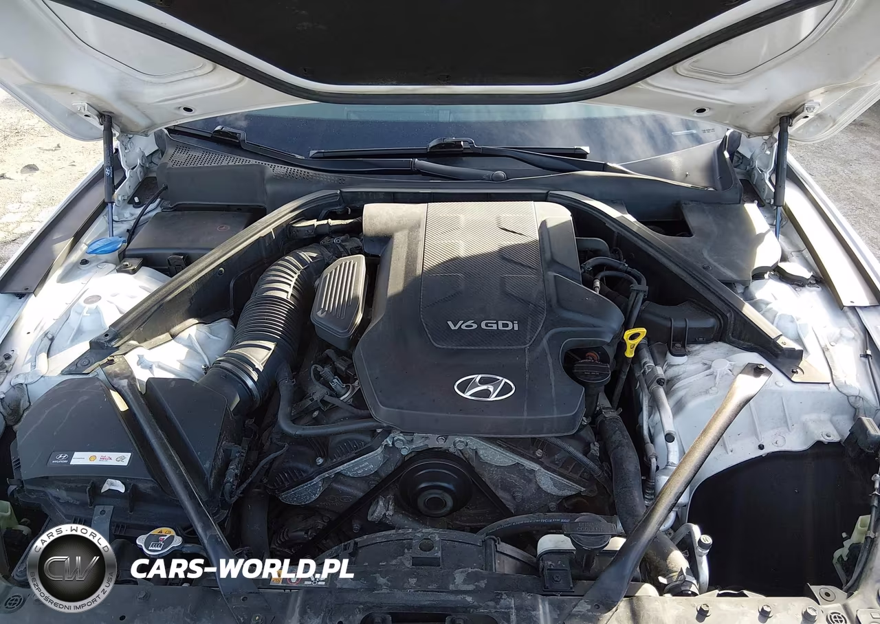 2015 Hyundai Genesis 3.8 VIN:KMHGN4JEXFU100055 - 10