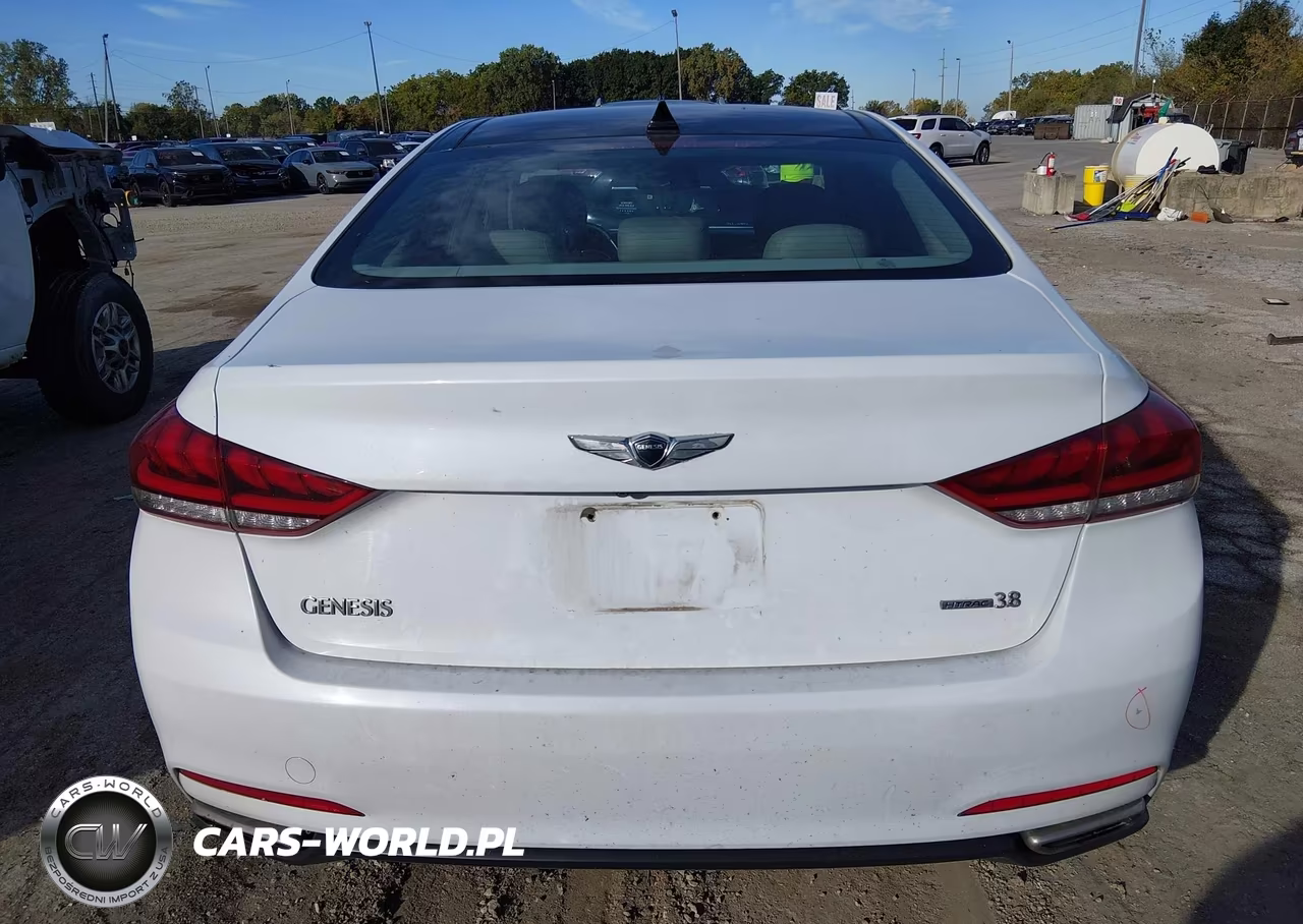 2015 Hyundai Genesis 3.8 VIN:KMHGN4JEXFU100055 - 16