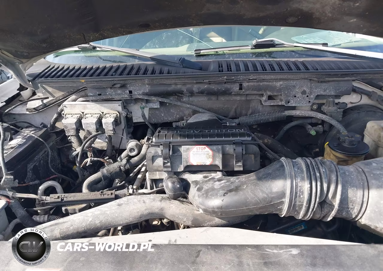 2005 Ford Expedition Eddie Bauer-King Ranch VIN:1FMPU17515LA04473 - 10