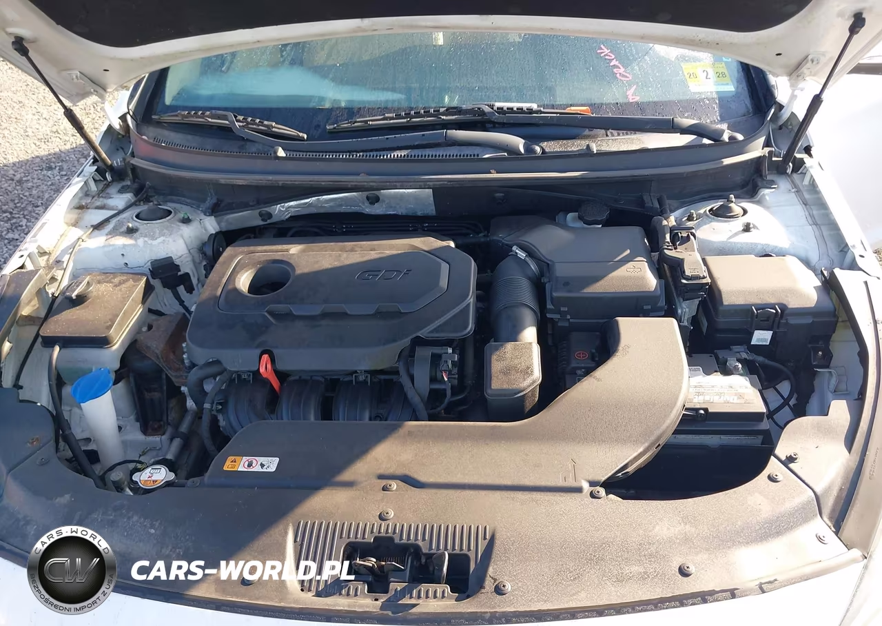 2015 Hyundai Sonata Sport VIN:5NPE34AF1FH099902 - 10