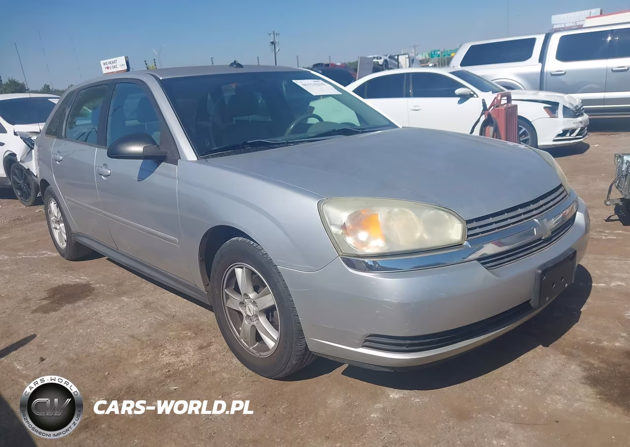 2004 Chevrolet Malibu Maxx Ls VIN:1G1ZT64864F174197 - 1