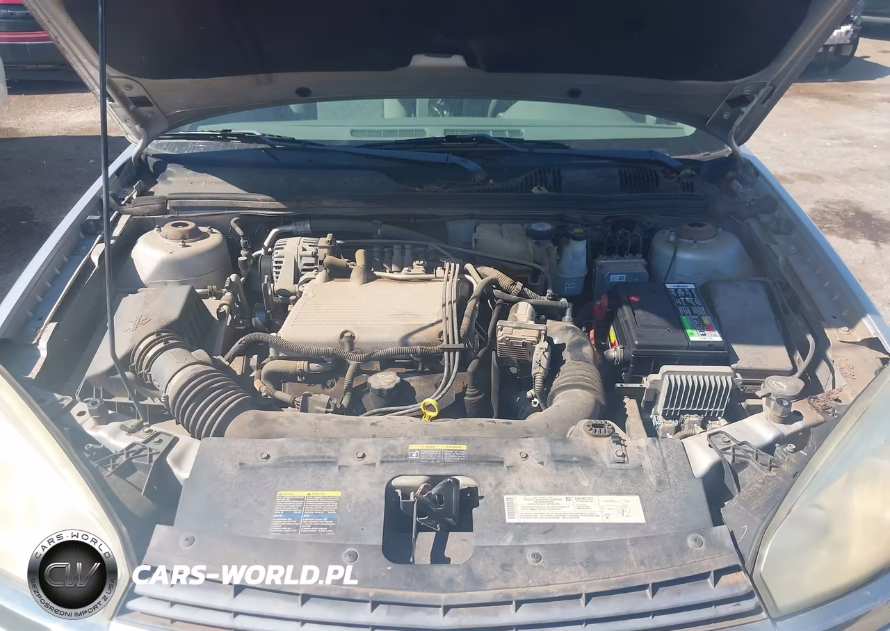 2004 Chevrolet Malibu Maxx Ls VIN:1G1ZT64864F174197 - 10