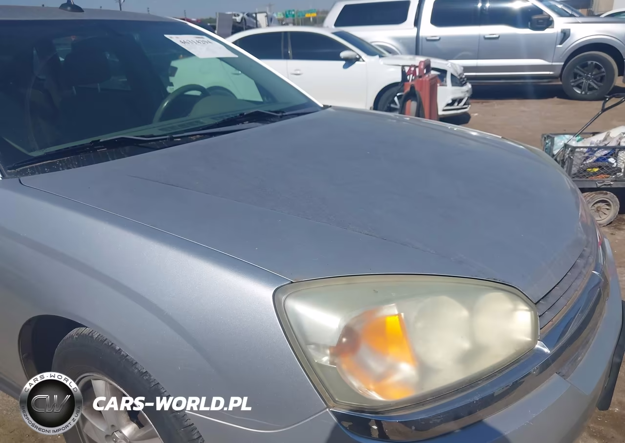 2004 Chevrolet Malibu Maxx Ls VIN:1G1ZT64864F174197 - 6