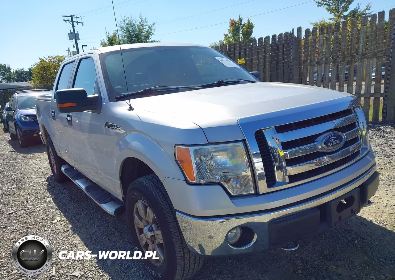 2009 Ford F-150 Fx4-King Ranch-Lariat-Platinum-Xl-Xlt