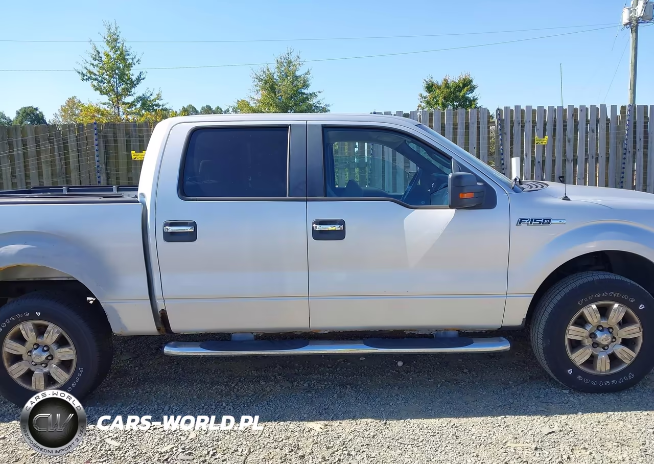2009 Ford F-150 Fx4-King Ranch-Lariat-Platinum-Xl-Xlt VIN:1FTPW14VX9FB16213 - 12