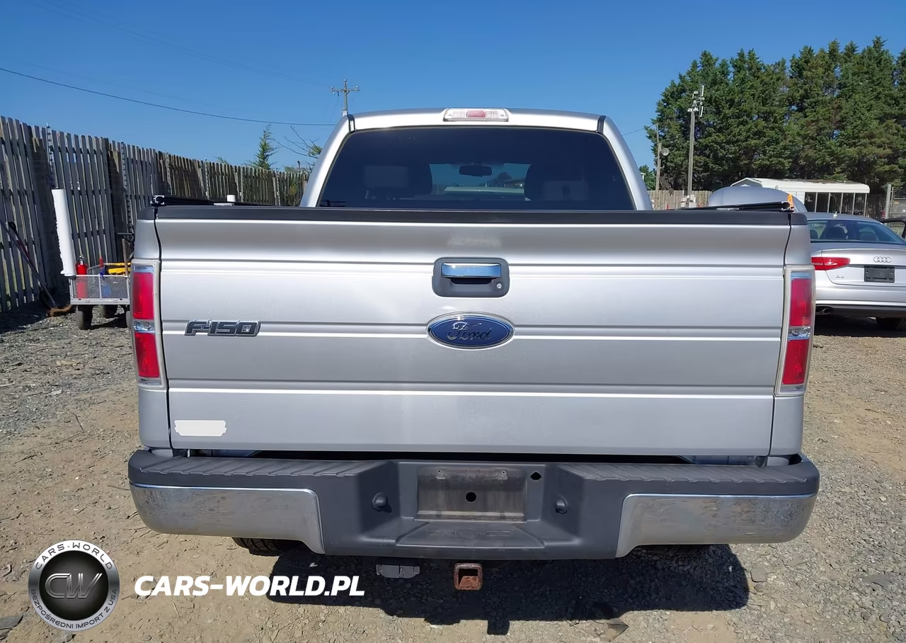 2009 Ford F-150 Fx4-King Ranch-Lariat-Platinum-Xl-Xlt VIN:1FTPW14VX9FB16213 - 15