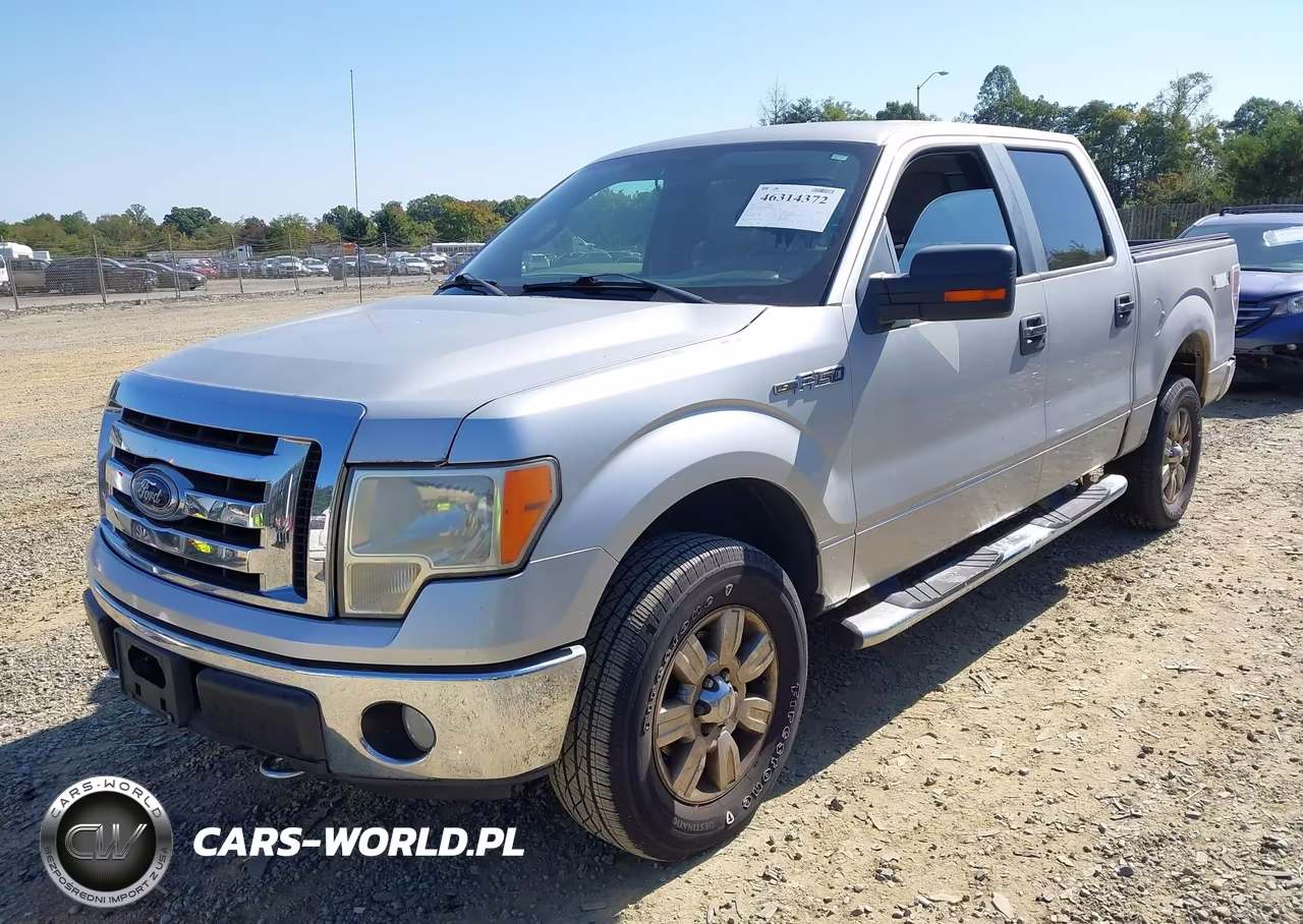 2009 Ford F-150 Fx4-King Ranch-Lariat-Platinum-Xl-Xlt VIN:1FTPW14VX9FB16213 - 2