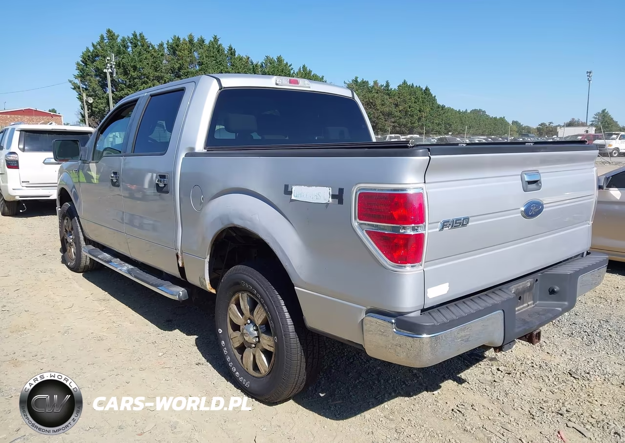 2009 Ford F-150 Fx4-King Ranch-Lariat-Platinum-Xl-Xlt VIN:1FTPW14VX9FB16213 - 3